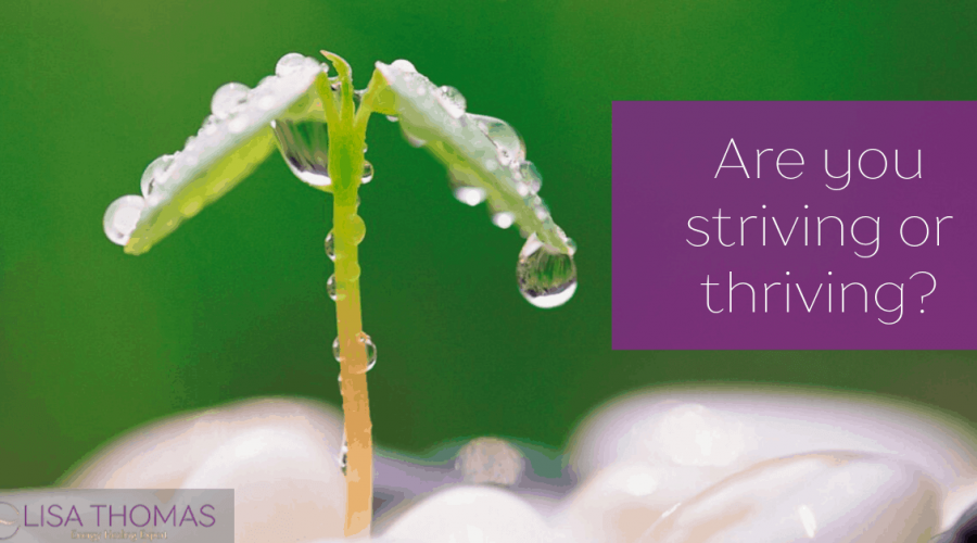 Are-you-striving-or-thriving_